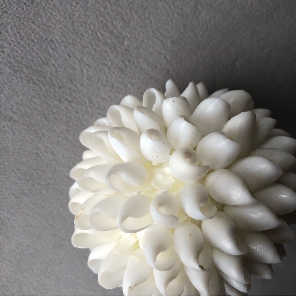 Seashell Decor ~ White ~ 3.5” - Picture 5 of 7